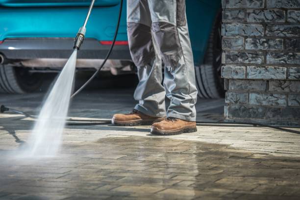 Best Brick and Stone Cleaning in Newton, TX