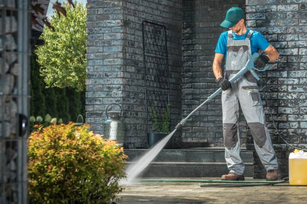 Best Driveway Cleaning and Restoration in Newton, TX