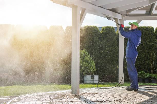 Best Pool Deck Cleaning in Newton, TX