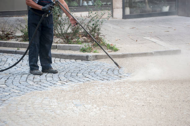 Best Gutter Cleaning and Brightening in Newton, TX