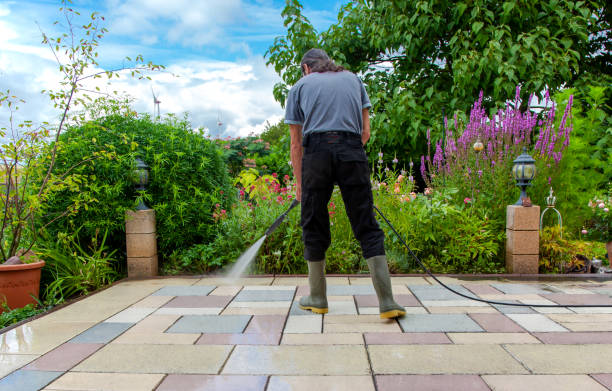 Best Commercial Pressure Washing in Newton, TX