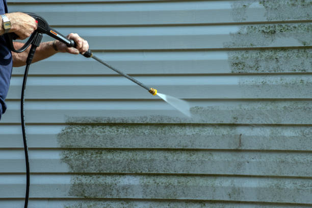 Best Vinyl Siding Pressure Washing in Newton, TX