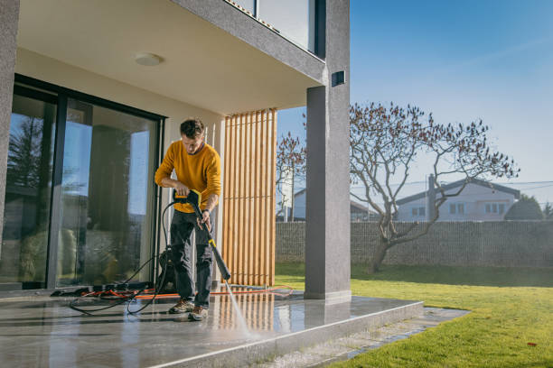 Best Roof Cleaning and Mildew Removal in Newton, TX